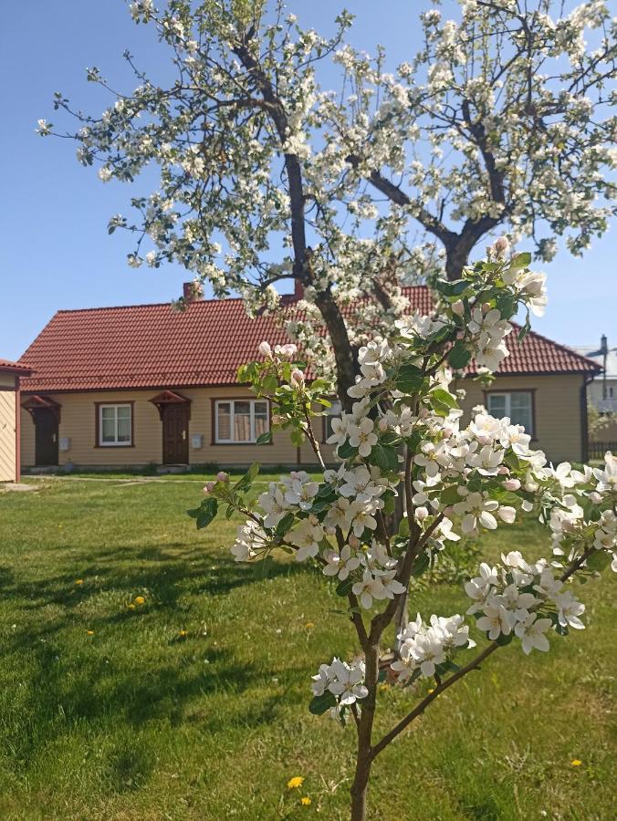 Vingi Apartment 12 Pärnu Eksteriør bilde